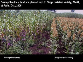 Enhancing science-based development in Africa: Where does Ethiopia stand?