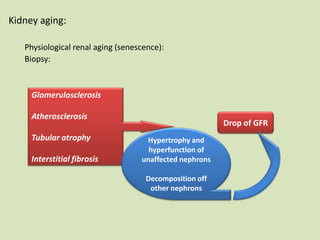 Glomerulosclerosis
Atherosclerosis
Tubular atrophy
Interstitial fibrosis
Kidney aging:
Physiological renal aging (senescence):
Biopsy:
Drop of GFR
Hypertrophy and
hyperfunction of
unaffected nephrons
Decomposition off
other nephrons
 