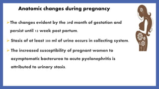 Anatomic changes during pregnancy
The changes evident by the 3rd month of gestation and
persist until 12 week post partum.
 Stasis of at least 200 ml of urine occurs in collecting system.
 The increased susceptibility of pregnant women to
asymptomatic bacterurea to acute pyelonephritis is
attributed to urinary stasis.
 