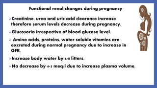 Functional renal changes during pregnancy
Creatinine, urea and uric acid clearance increase
therefore serum levels decrease during pregnancy.
Glucosoria irrespective of blood glucose level.
 Amino acids, proteins, water soluble vitamins are
excreted during normal pregnancy due to increase in
GFR.
Increase body water by 6-8 litters.
Na decrease by 4-5 meq/l due to increase plasma volume.
 