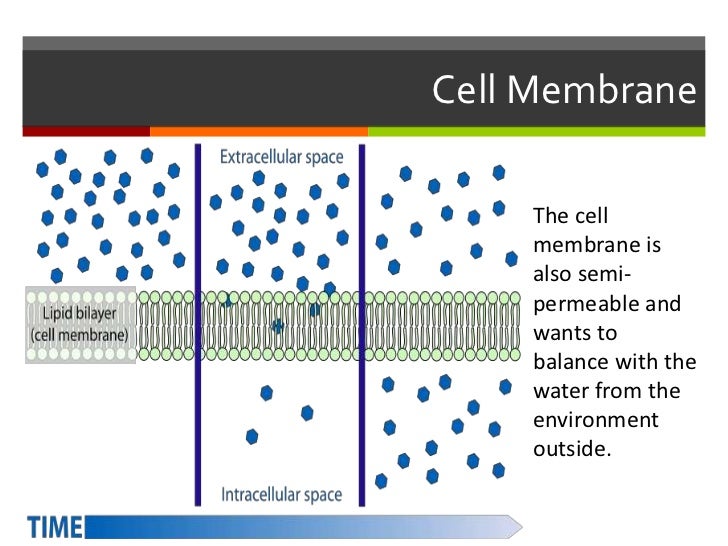 Dialysis Lab Values Chart