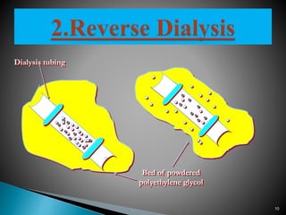 Dialysis tubing 
Bed of powdered 
polyethylene glycol 
10 
 