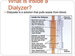 What is inside a
Dialyzer?
 Dialysate is a solution that pulls waste from blood.
 