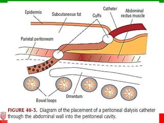 © Ramaiah University of Applied Sciences
16
Faculty of Pharmacy
 
