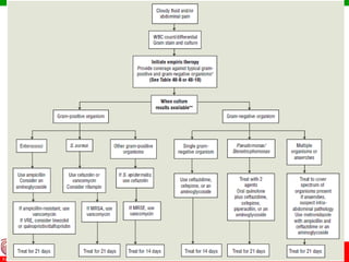 © Ramaiah University of Applied Sciences
23
Faculty of Pharmacy
 