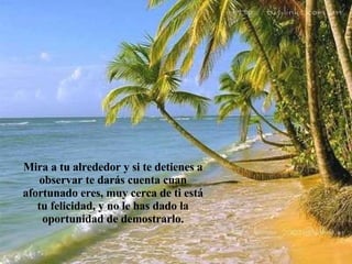 Mira a tu alrededor y si te detienes a observar te darás cuenta cuan afortunado eres, muy cerca de ti está tu felicidad, y no le has dado la oportunidad de demostrarlo. 