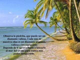 Observa la piedrita, que puede ser un diamante valioso. Cada uno de nuestros días es un diamante precioso, valioso e irremplazable. Depende de ti aprovecharlo o lanzarlo al mar del olvido para nunca mas poder recuperarlo.   