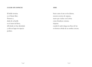 ~ 34 ~ ~ 35 ~
AIRE
Suave entra el aire en los álamos,
sonoros secretos de espuma,
mares que vuelan con la brisa
como frondosas cometas,
réquiem
cuando la tarde alarga una línea de luz
en heroico olvido de su sombra cercana.
LUGAR SIN ESPACIO
El brillo termina
en el límite libre.
Promesa y
duda de su huella
en el muro de lluvia,
allí donde no hay identidad,
y sólo un lugar sin espacio
perdura.
 