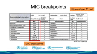 Mic Breakpoints Pharmacology of antimicrobials for clinicians: select topics | PDF
