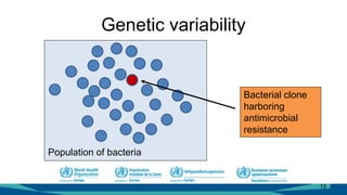Genetic variability
13
Bacterial clone
harboring
antimicrobial
resistance
Population of bacteria
 