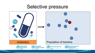Selective pressure
14
Population of bacteriaAntibiotics
 
