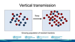 Vertical transmission
15
Time
Growing population of resistant bacteria
 