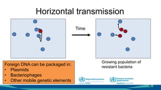 Horizontal transmission
16
Foreign DNA can be packaged in:
• Plasmids
• Bacteriophages
• Other mobile genetic elements
Growing population of
resistant bacteria
Time
 