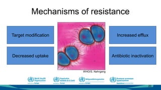 Mechanisms of resistance
20
Antibiotic inactivation
Increased efflux
Decreased uptake
Target modification
WHO/S. Nahrgang
 