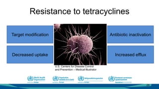 Resistance to tetracyclines
24
Antibiotic inactivation
Increased effluxDecreased uptake
Target modification
U.S. Centers for Disease Control
and Prevention – Medical Illustrator
 