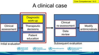 A clinical case
Subsequent evaluationInitial evaluation
Clinical
assessment
Diagnostic
work-up
Patient
education
Therapeutic
decisions
Modify
antimicrobials
Data
review
Clinical
re-assessment
29
Core Competencies 1 & 2
 