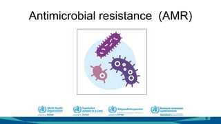 Antimicrobial resistance (AMR)
6
 