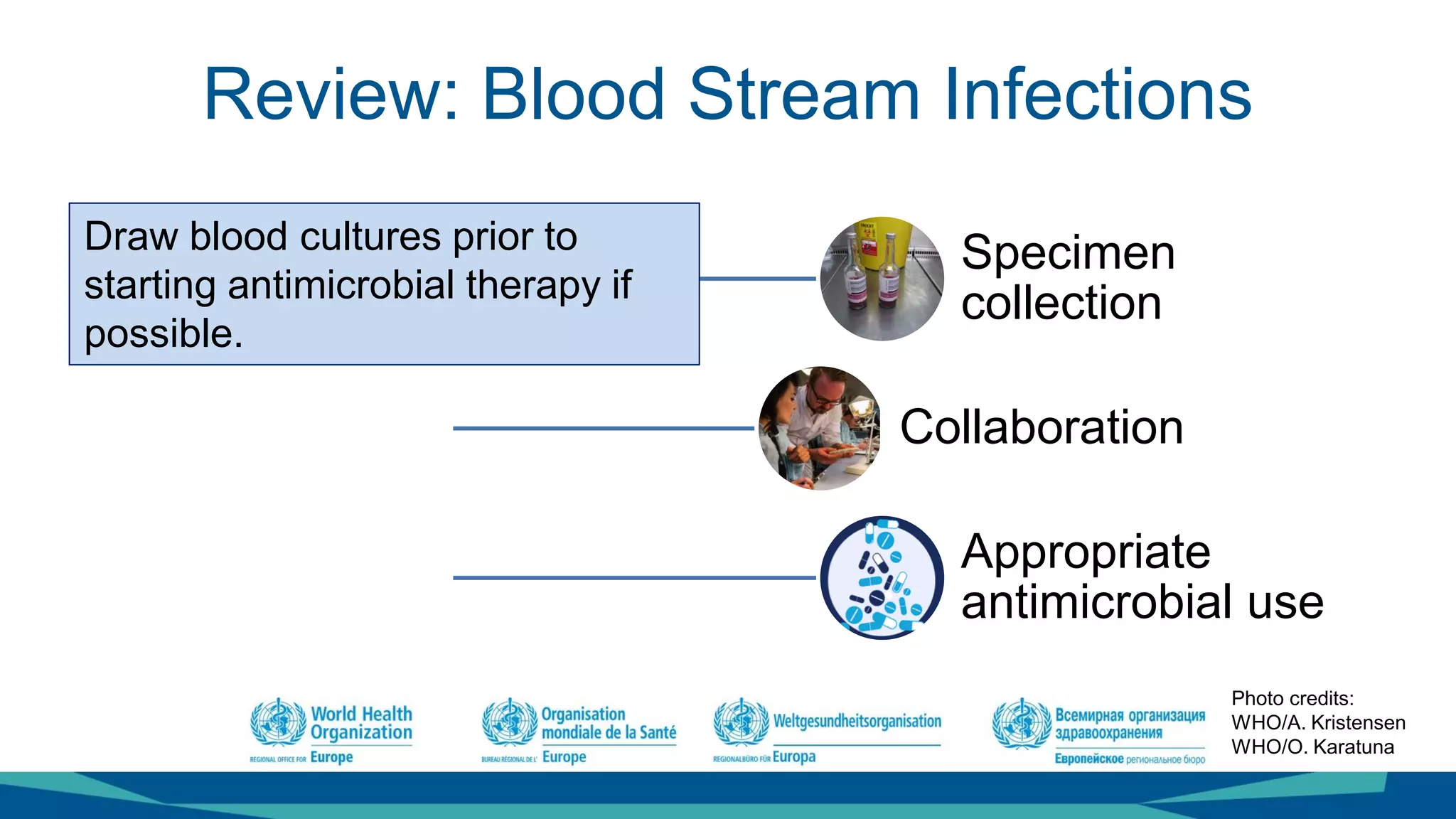Blood Stream Infections | PDF