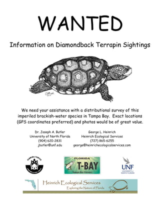 WANTED
Information on Diamondback Terrapin Sightings




     We need your assistance with a distributional survey of this
   imperiled brackish-water species in Tampa Bay. Exact locations
  (GPS coordinates preferred) and photos would be of great value.

           Dr. Joseph A. Butler                George L. Heinrich
        University of North Florida        Heinrich Ecological Services
             (904) 620-2831                      (727) 865-6255
             jbutler@unf.edu          george@heinrichecologicalservices.com
 