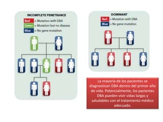 La mayoría de los pacientes se 
diagnostican DBA dentro del primer año 
de vida. Potencialmente, los pacientes 
DBA pueden vivir vidas largas y 
saludables con el tratamiento médico 
adecuado. 
 