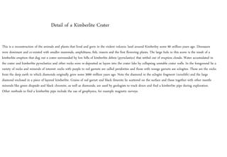 This is a reconstruction of the animals and plants that lived and grew in the violent volcanic land around Kimberley some 90 million years ago. Dinosaurs
were dominant and co-existed with smaller mammals, amphibians, fish, insects and the first flowering plants. The large hole in this scene is the result of a
kimberlite eruption that dug out a crater surrounded by low hills of kimberlite debris (pyroclastics) that settled out of eruption clouds. Water accumulated in
the crater and kimberlite pyroclastics and other rocks were re-deposited as layers into the crater lake by collapsing unstable crater walls. In the foreground lie a
variety of rocks and minerals of interest: rocks with purple to red garnets are called peridotites and those with orange garnets are eclogites. These are the rocks
from the deep earth in which diamonds originally grew some 3000 million years ago. Note the diamond in the eclogite fragment (xenolith) and the large
diamond enclosed in a piece of layered kimberlite. Grains of red garnet and black ilmenite lie scattered on the surface and these together with other mantle
minerals like green diopside and black chromite, as well as diamonds, are used by geologists to track down and find a kimberlite pipe during exploration.
Other methods to find a kimberlite pipe include the use of geophysics, for example magnetic surveys.
Detail of a Kimberlite Crater
 