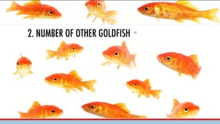 1
2
2. NUMBER OF OTHER GOLDFISH =
 