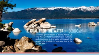 3. QUALITY OF THE WATER = ECONOMY
The third growth factor is the QUALITY OF
THE WATER that the goldfish is in. Nutrients
a...
