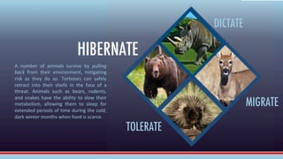 DICTATE
MIGRATE
TOLERATE
HIBERNATE
A number of animals survive by pulling
back from their environment, mitigating
risk as ...