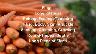 Finger
Long, Slender
Poking, Feeling, Touching
Hand, Body, Skin, Knuckle
Sensing, Creeping, Crawling
Round-Tipped, Subtle
Long Piece of Flesh
Estella D.
 