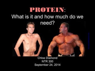 PROTEIN: 
What is it and how much do we 
need? 
Chloe Diamond 
NTR 300 
September 24, 2014 
from www.askthetrainer.com 
 