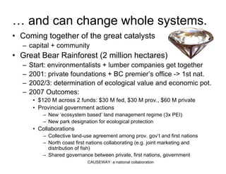 Diamonds In The Rough - PDF