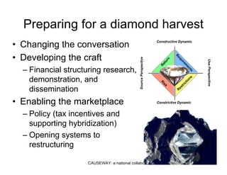 Diamonds In The Rough - PDF