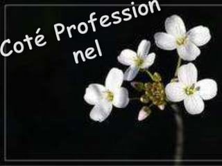 Diamonds  prestige  events ok