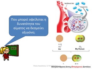 H2 O
Που μπορεί οφείλεται η
δυνατότητα του
αίματος να δεσμεύει
οξυγόνο;
Πέτρος Καραπέτρος, 1ο ΓΕΛ Χαλανδρίου
 