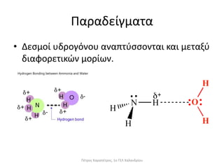 Παραδείγματα
• Δεσμοί υδρογόνου αναπτύσσονται και μεταξύ
διαφορετικών μορίων.
Πέτρος Καραπέτρος, 1ο ΓΕΛ Χαλανδρίου
 