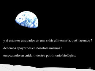 Día Mundial de la Alimentación.... . . de la importancia de los ‘Plan b’ en Recursos Fitogenéticos