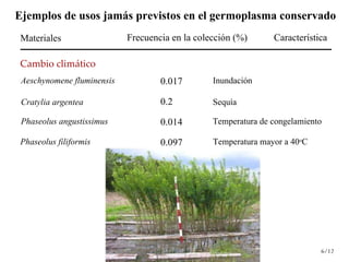 Día Mundial de la Alimentación.... . . de la importancia de los ‘Plan b’ en Recursos Fitogenéticos