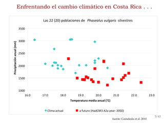 Día Mundial de la Alimentación.... . . de la importancia de los ‘Plan b’ en Recursos Fitogenéticos