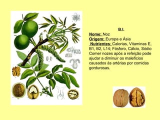 B.I.
Nome: Noz
Origem: Europa e Ásia
Nutrientes: Calorias, Vitaminas E,
B1, B2, L14; Fósforo, Cálcio, Sódio
Comer nozes após a refeição pode
ajudar a diminuir os malefícios
causados às artérias por comidas
gordurosas.

 