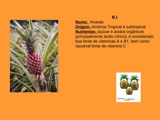 B.I.
Nome: Ananás
Origem: América Tropical e subtropical
Nutrientes: açúcar e ácidos orgânicos
(principalmente ácido cítrico); é considerado
boa fonte de vitaminas A e B1, bem como
razoável fonte de vitamina C

 