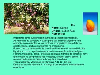 B.I.
Nome: Manga
Origem: Sul da Ásia
Nutrientes:
Importante como auxiliar dos movimentos peristálticos intestinais.
As vitaminas do complexo k fazem parte das enzimas digestiva e da
absorção dos nutrientes. A sua carência no organismo causa falta de
apetite, fadiga, apatia e transtornos no crescimento.
Possui uma boa quantidade de um mineral bastante útil ao equilíbrio dos
líquidos no corpo: o potássio que pode ter uma acção anticancerígena,
Fósforo, magnésio , cálcio, proteínas, gorduras, hidratos de carbono e ferro,
Eles entram na composição dos músculos, sangue, ossos, dentes. É
recomendada para os casos de bronquite e escorbuto.
Tem um alto teor vitamínico de vitaminas A, C, B1, B2, B5.
Devido ao teor de vitamina A, a manga é um excelente antioxidante do
organismo.

 