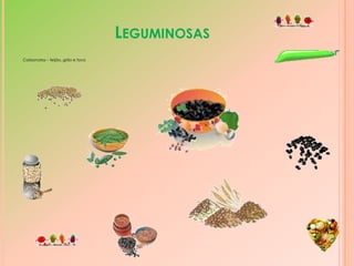 FRUTAS	Vitaminas – Laranja, limão, maçã e Kiwi	Nós temos muita vitamina C. Ela protege-te das infecções. 