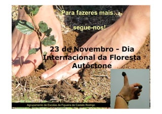 Para fazeres mais…

                                   segue-nos!


              23 de Novembro - Dia
            Internacional da Floresta
                   Autóctone




Agrupamento de Escolas de Figueira de Castelo Rodrigo   bologta.blogspot.com
 