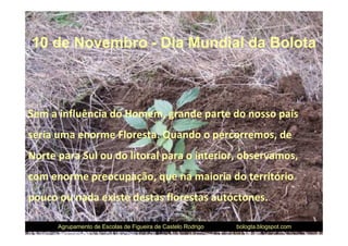 10 de Novembro - Dia Mundial da Bolota



Sem a influência do Homem, grande parte do nosso país
seria uma enorme Floresta. Quando o percorremos, de
Norte para Sul ou do litoral para o interior, observamos,
com enorme preocupação, que na maioria do território
pouco ou nada existe destas florestas autóctones.

      Agrupamento de Escolas de Figueira de Castelo Rodrigo   bologta.blogspot.com
 