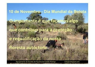 10 de Novembro - Dia Mundial da Bolota

O importante é que façamos algo
que contribua para a proteção
e requalificação da nossa
floresta autóctone.

   Agrupamento de Escolas de Figueira de Castelo Rodrigo   bologta.blogspot.com
 