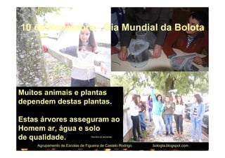 10 de Novembro - Dia Mundial da Bolota




Muitos animais e plantas
dependem destas plantas.

Estas árvores asseguram ao
Homem ar, água e solo
de qualidade.                     Recolha de sementes



    Agrupamento de Escolas de Figueira de Castelo Rodrigo   bologta.blogspot.com
 