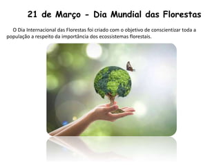 21 de Março - Dia Mundial das Florestas
O Dia Internacional das Florestas foi criado com o objetivo de conscientizar toda a
população a respeito da importância dos ecossistemas florestais.
 