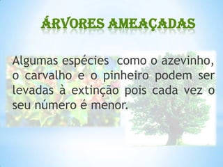 Árvores ameaçadas
Algumas espécies como o azevinho,
o carvalho e o pinheiro podem ser
levadas à extinção pois cada vez o
seu número é menor.
 