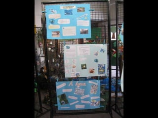 Dia mundial da água