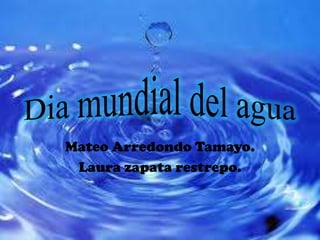 Dia mundial del agua Mateo Arredondo Tamayo. Laura zapata restrepo. 